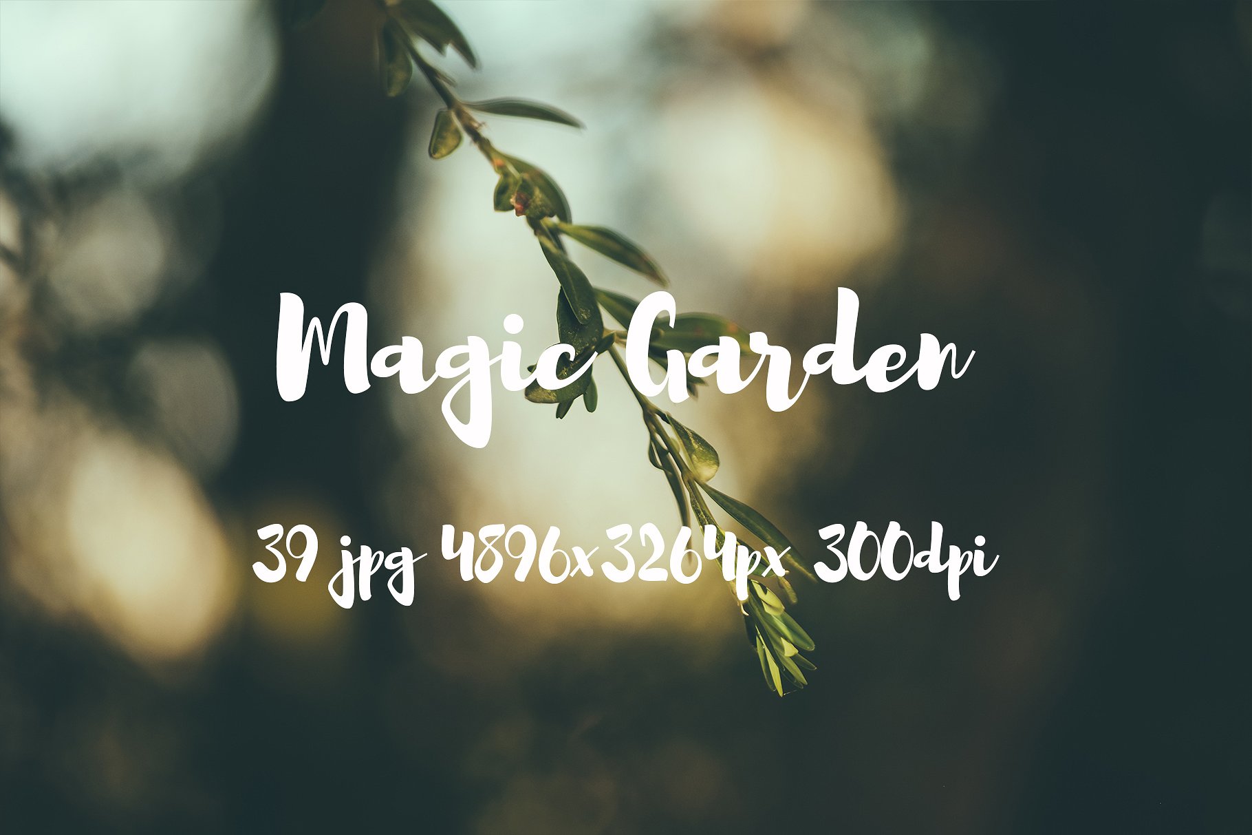 Magic Garden photo pack