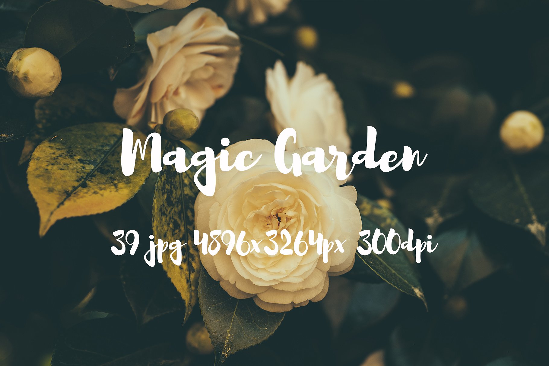 Magic Garden photo pack