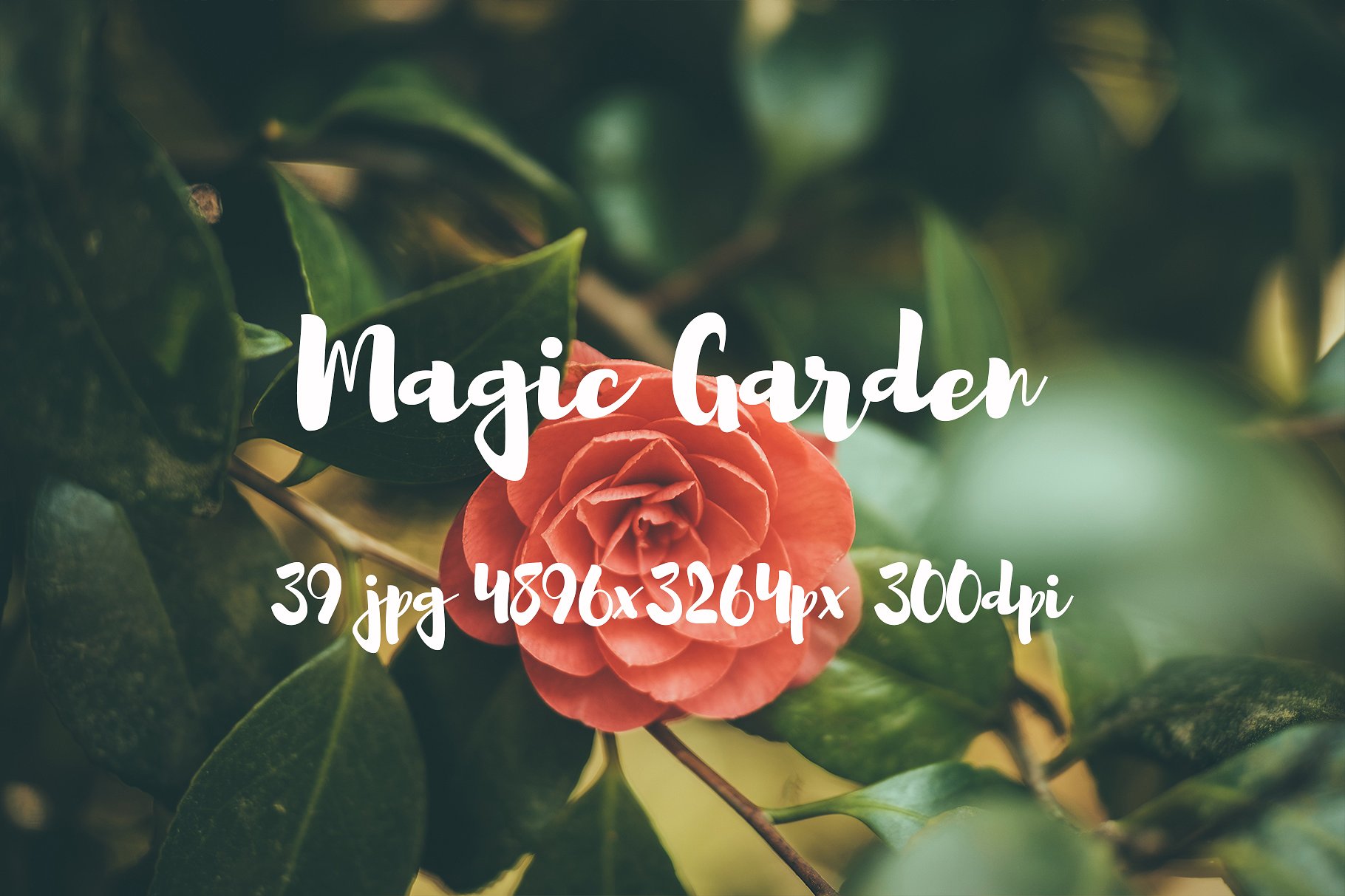 Magic Garden photo pack