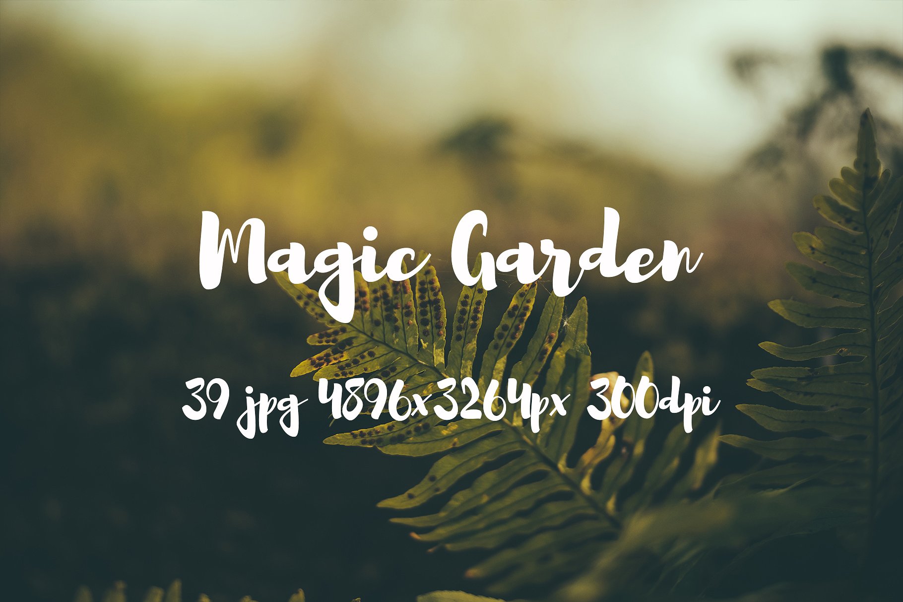 Magic Garden photo pack