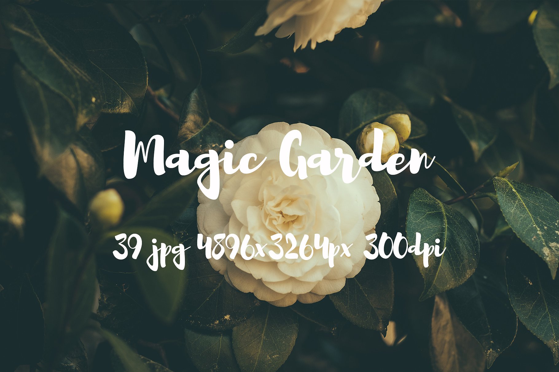 Magic Garden photo pack