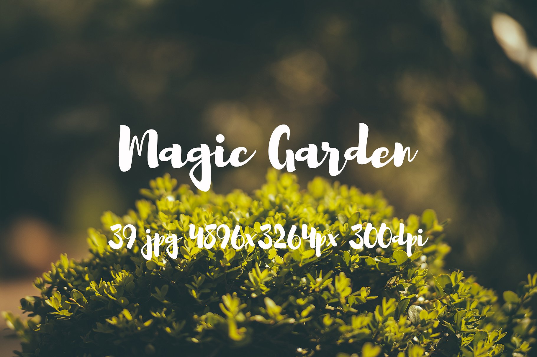 Magic Garden photo pack