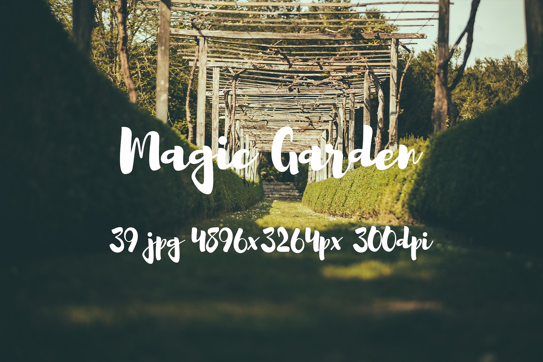 Magic Garden photo pack