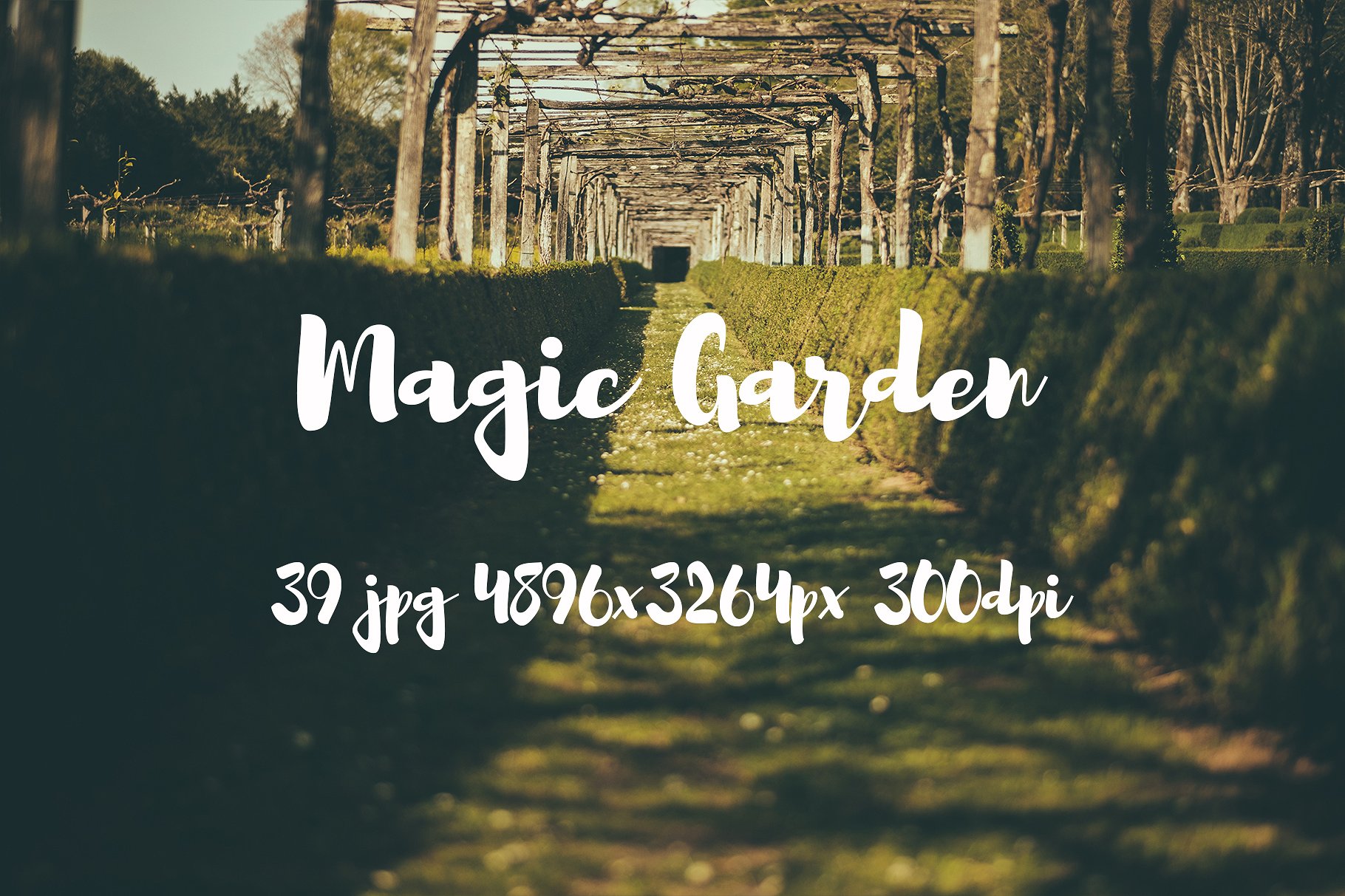 Magic Garden photo pack