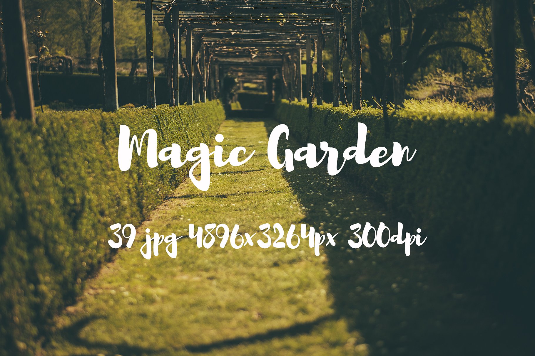 Magic Garden photo pack