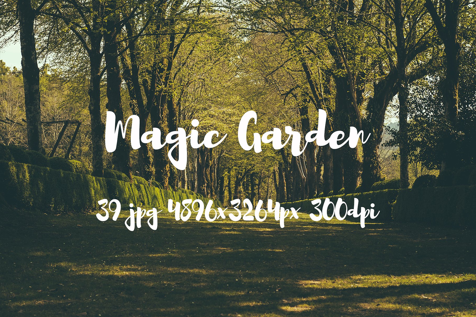 Magic Garden photo pack