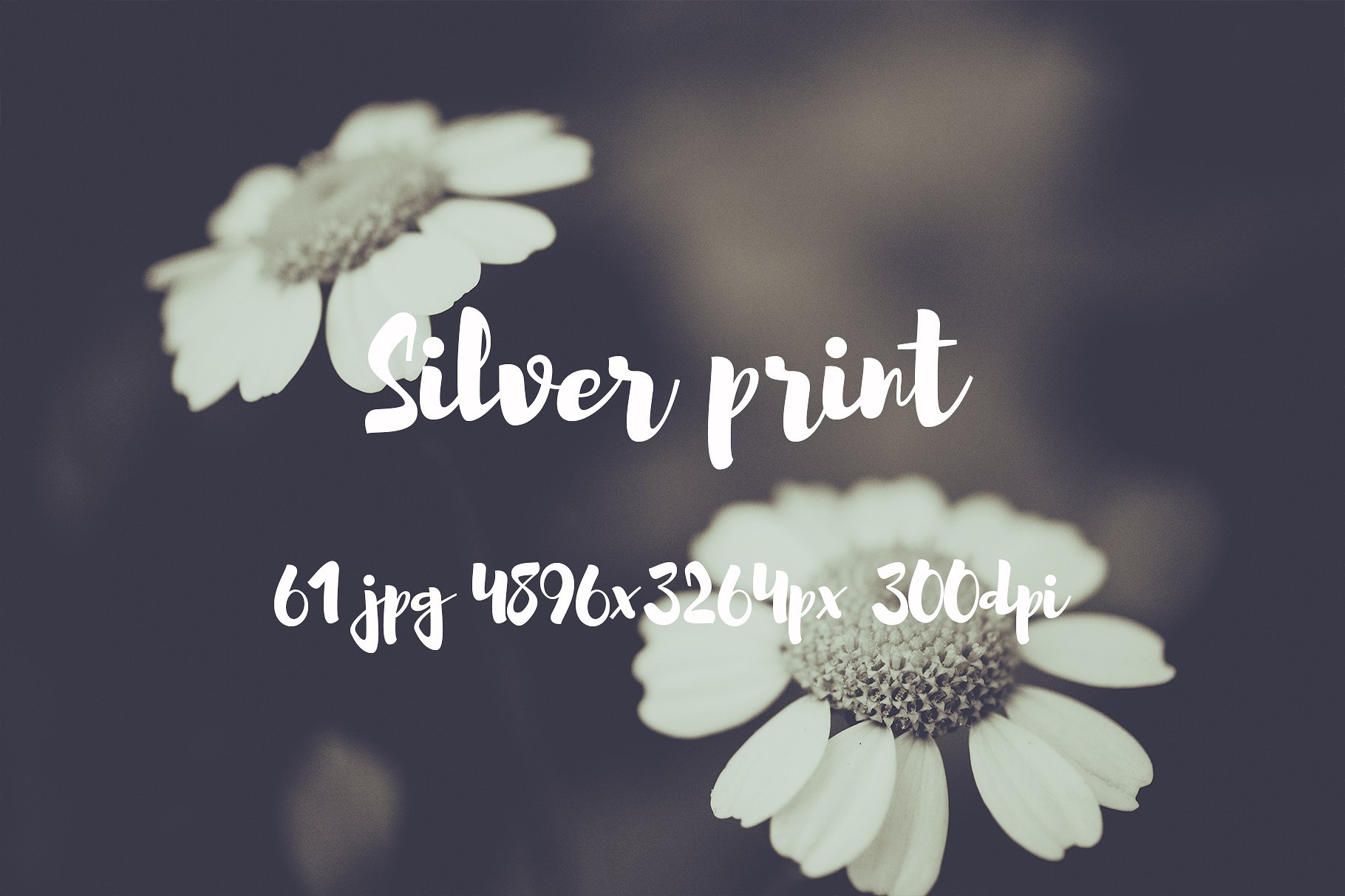 Silver Print Photo pack