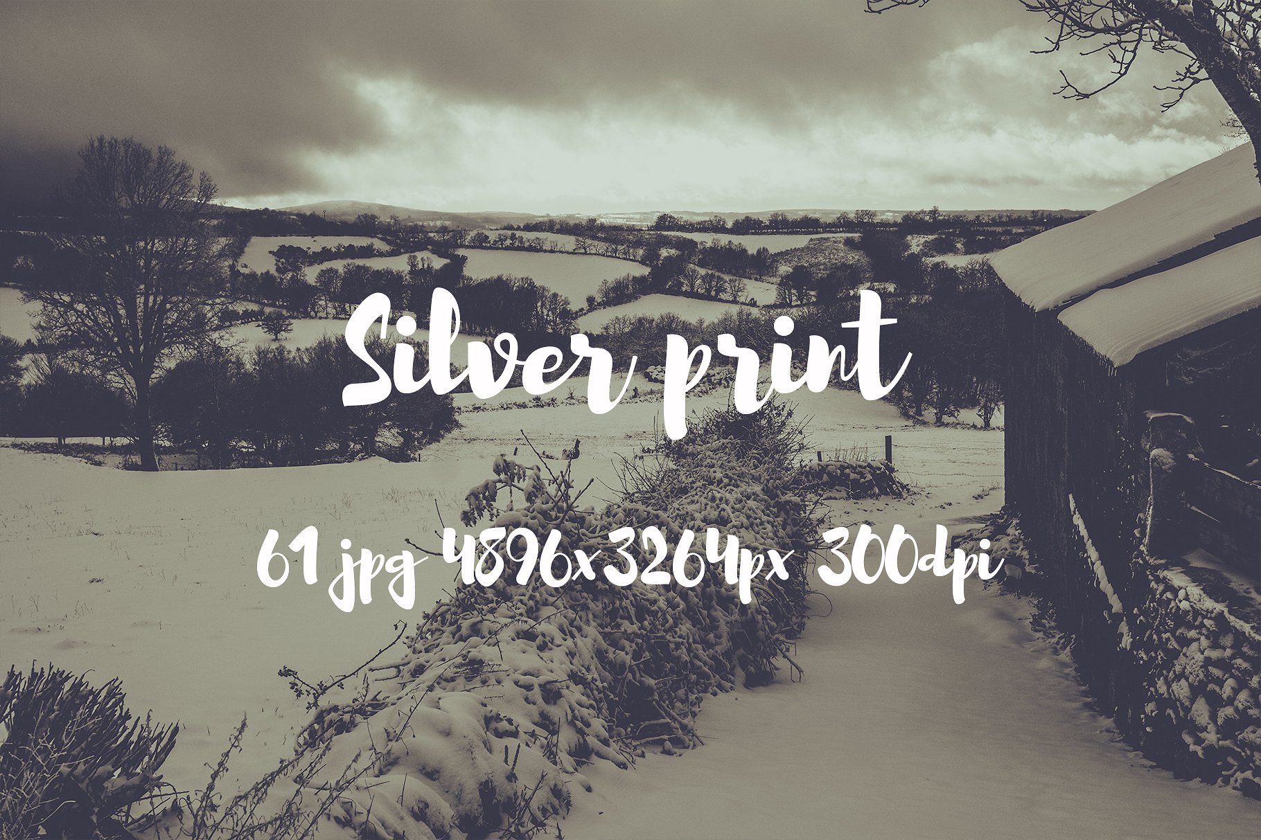 Silver Print Photo pack