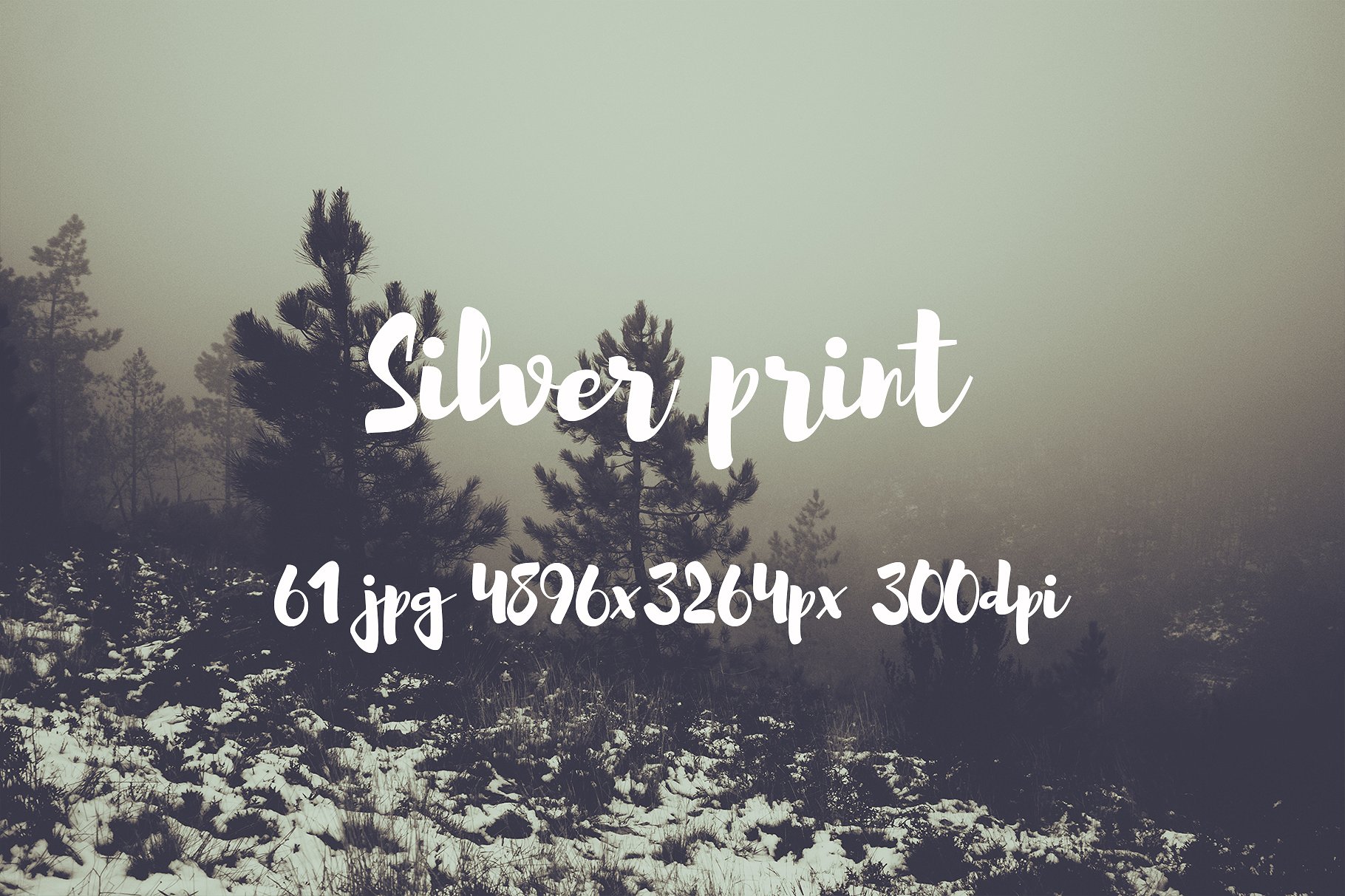 Silver Print Photo pack