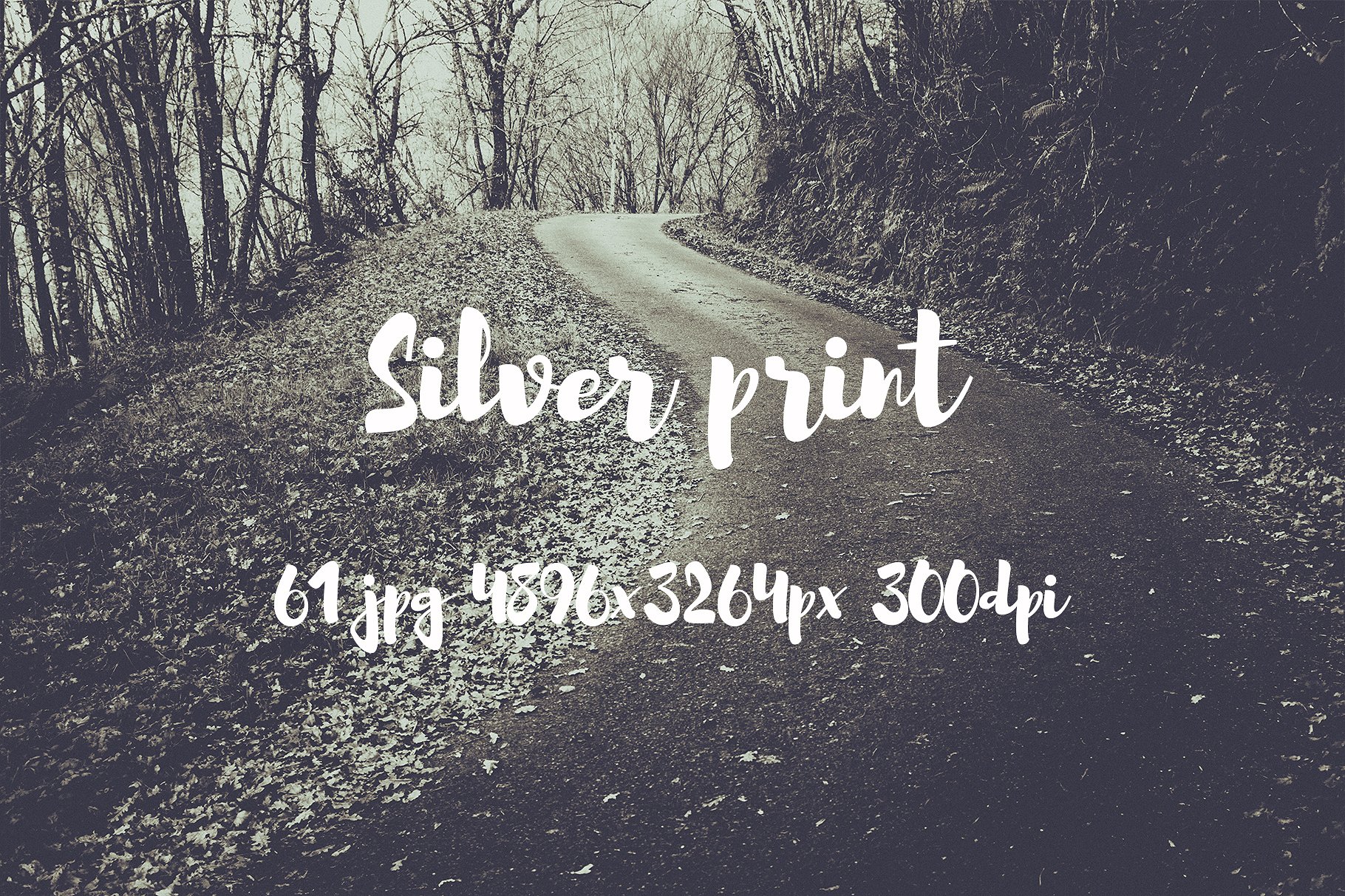 Silver Print Photo pack