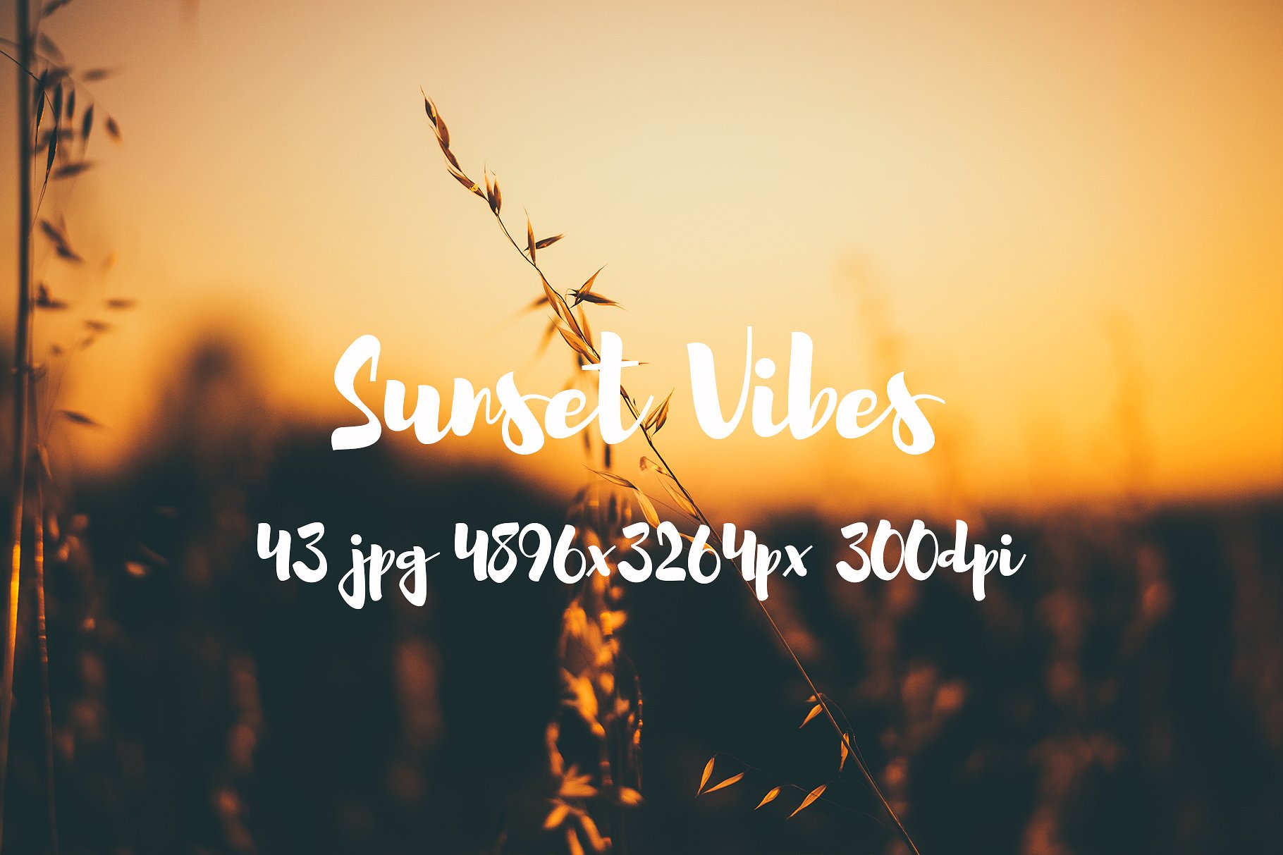 Sunset Vibes photo pack