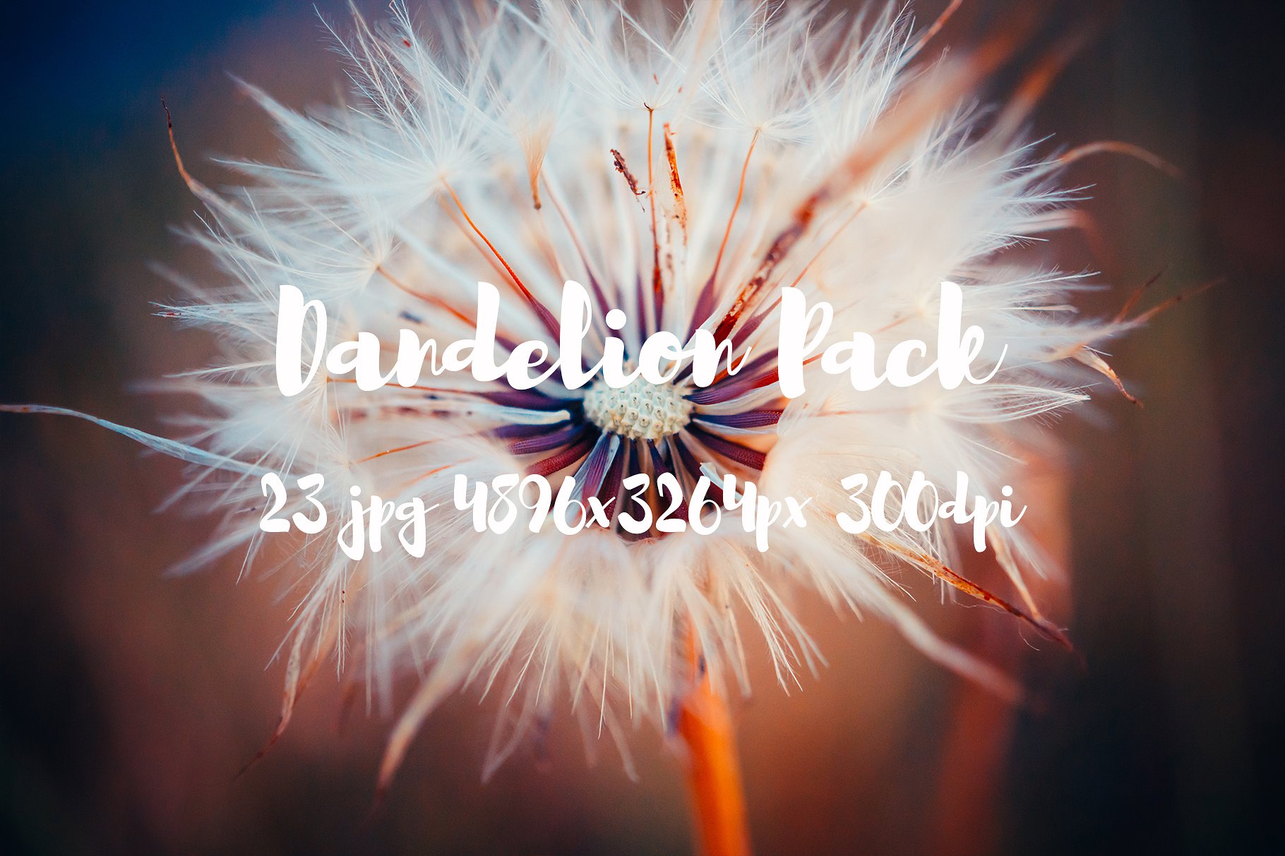 Dandelion Pack photo pack