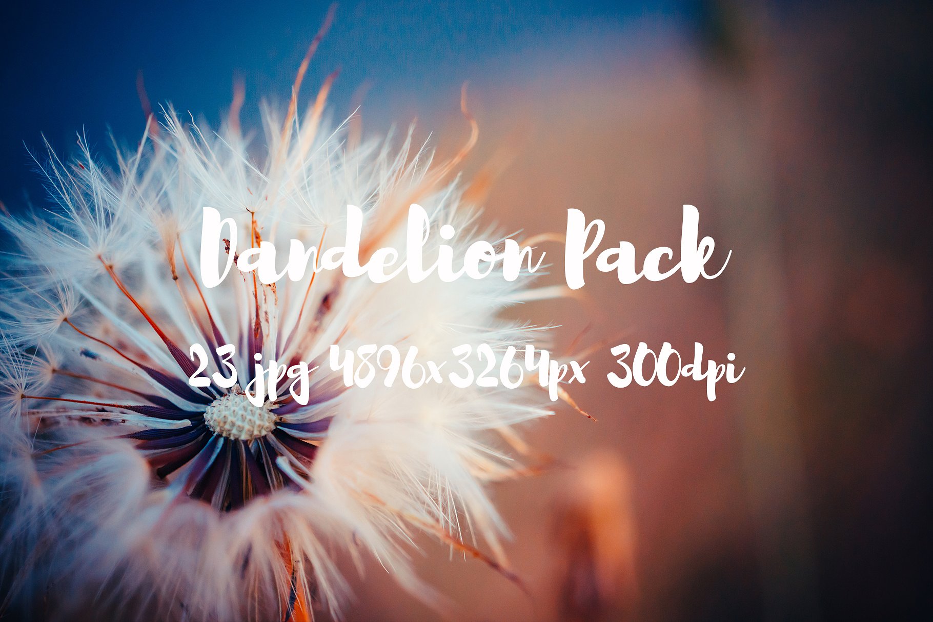 Dandelion Pack photo pack