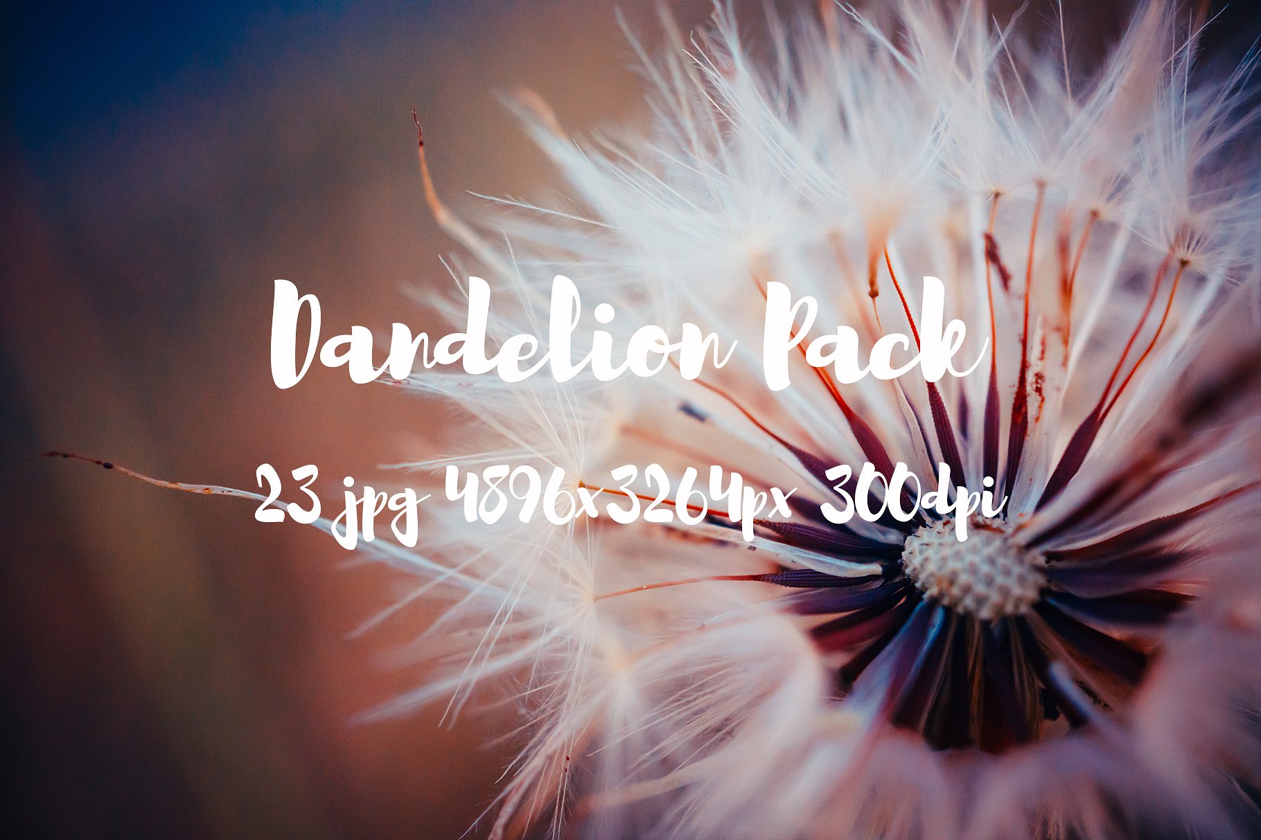 Dandelion Pack photo pack