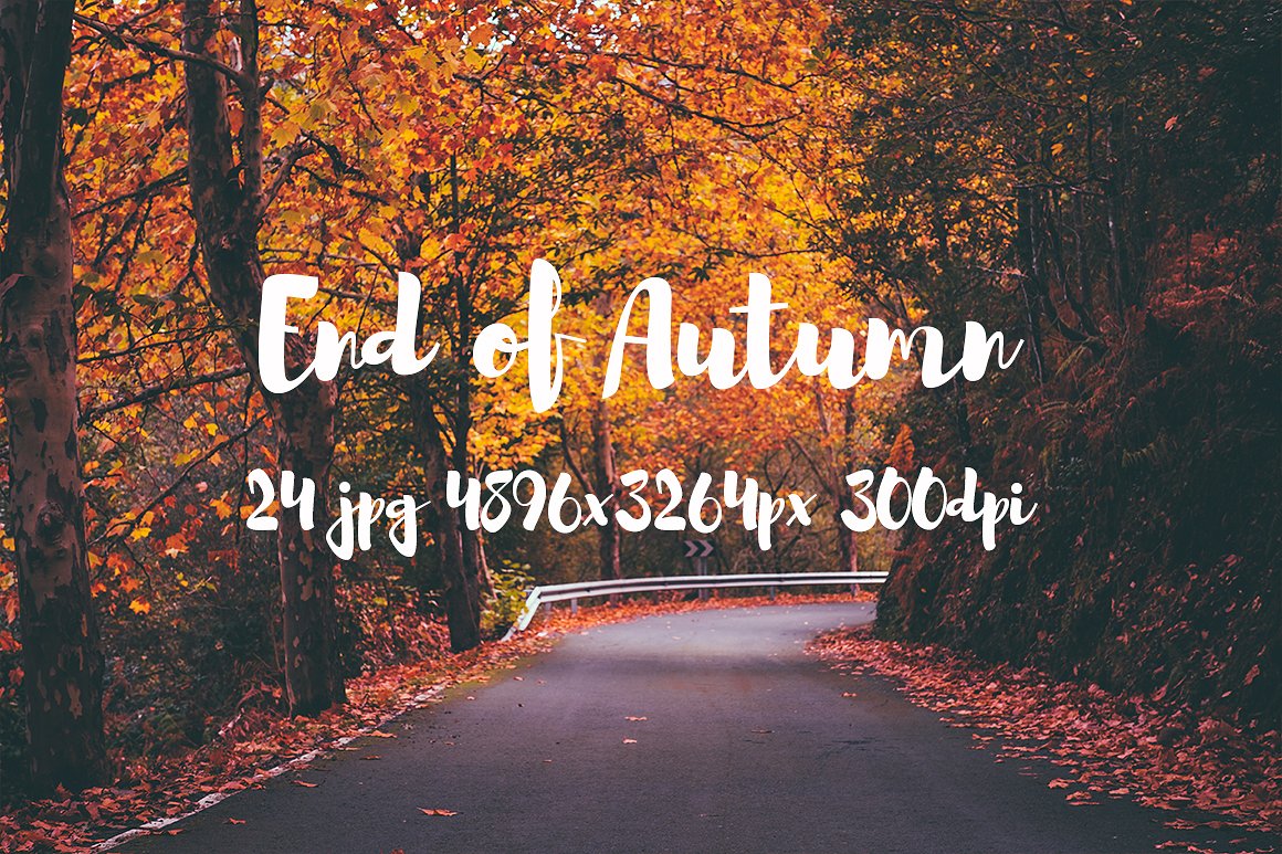 Autumn photo pack