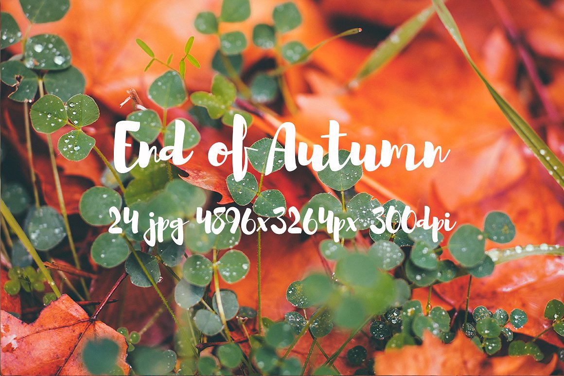 Autumn photo pack