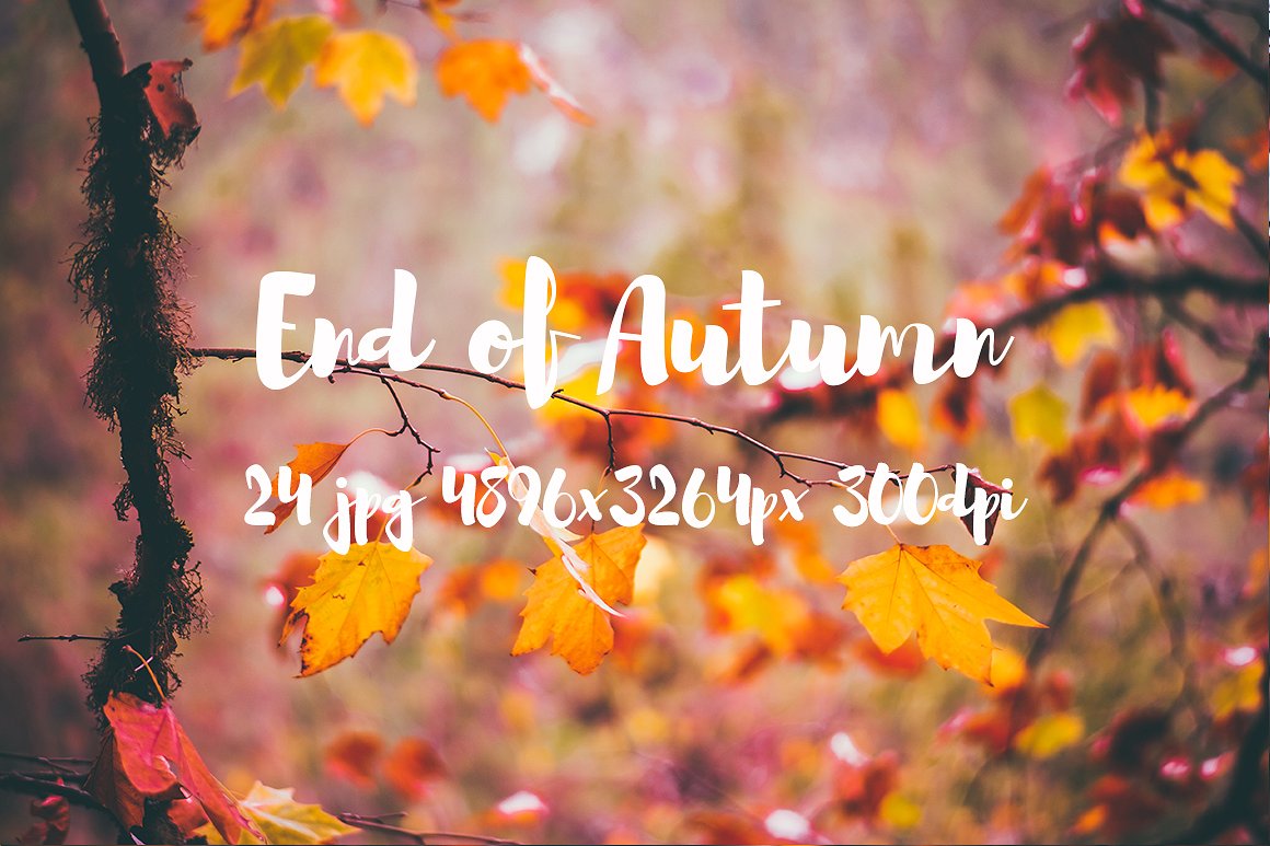 Autumn photo pack