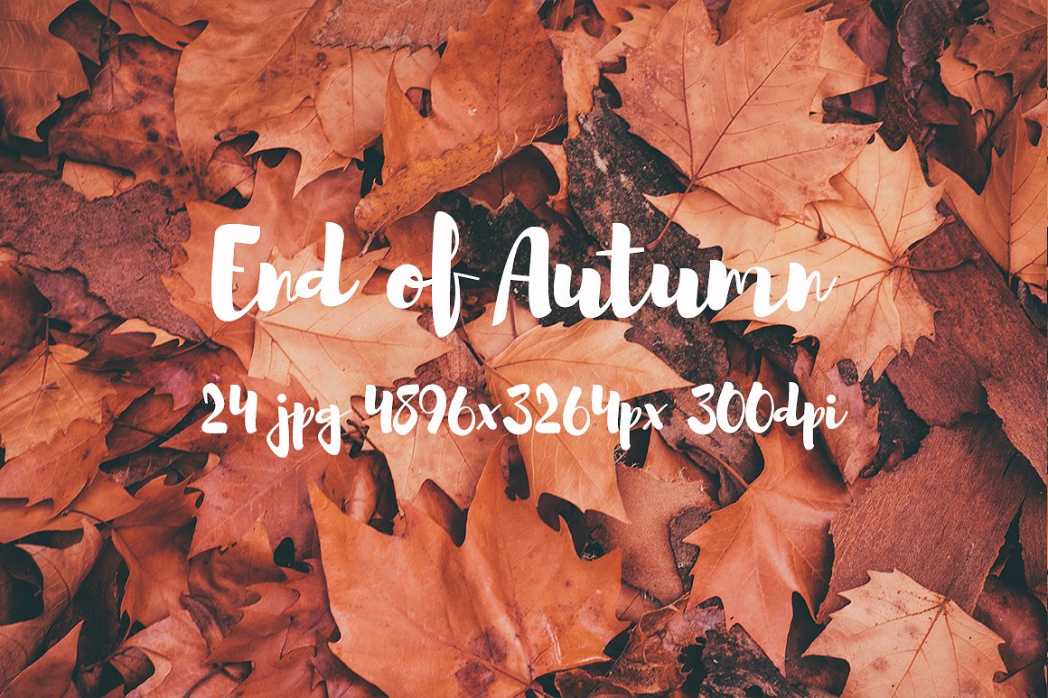 Autumn photo pack