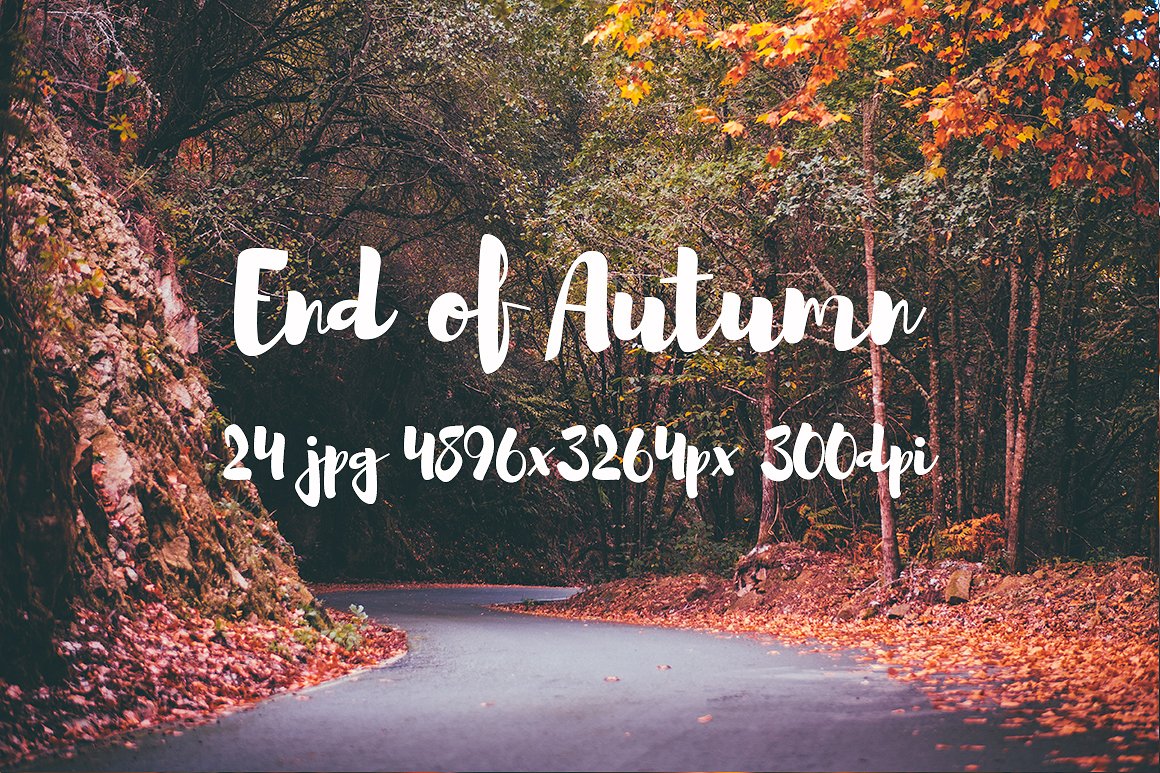 Autumn photo pack