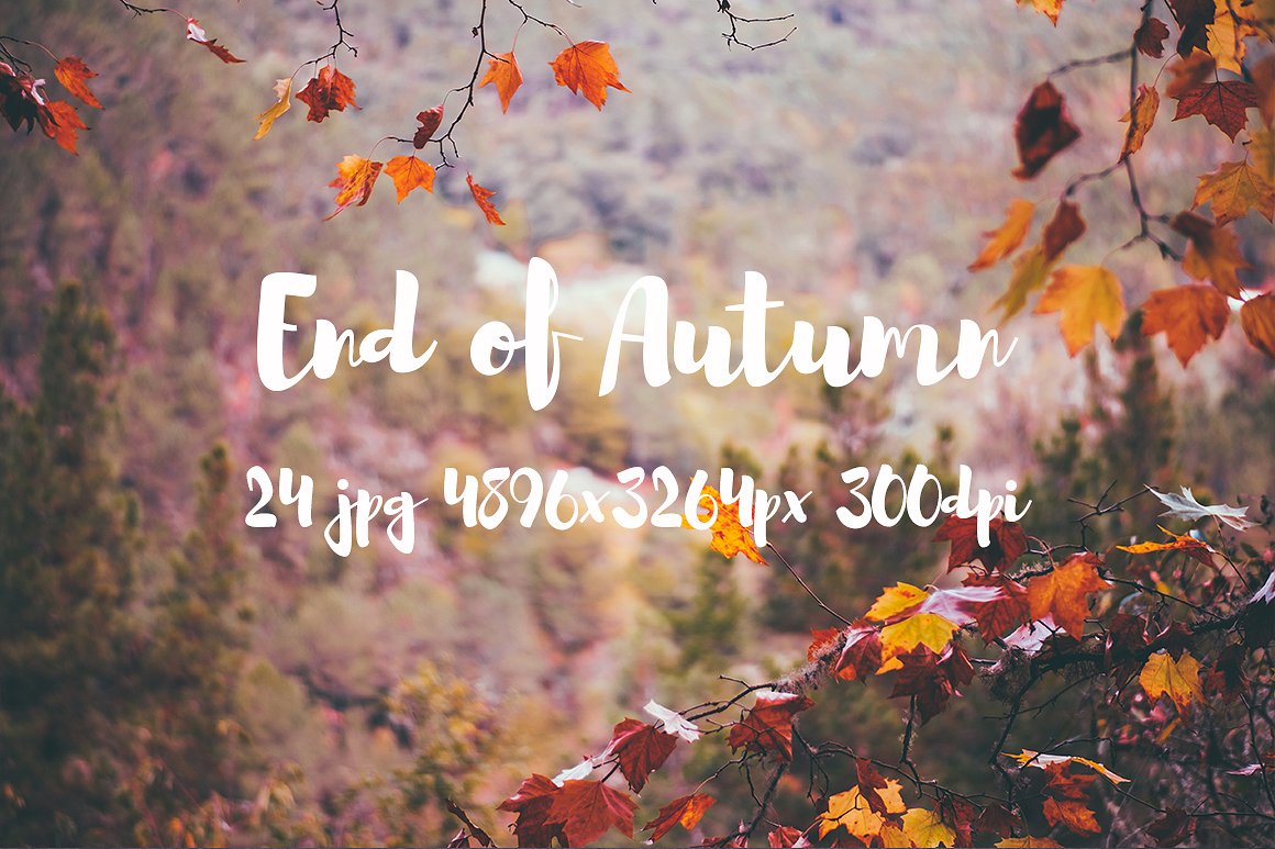 Autumn photo pack