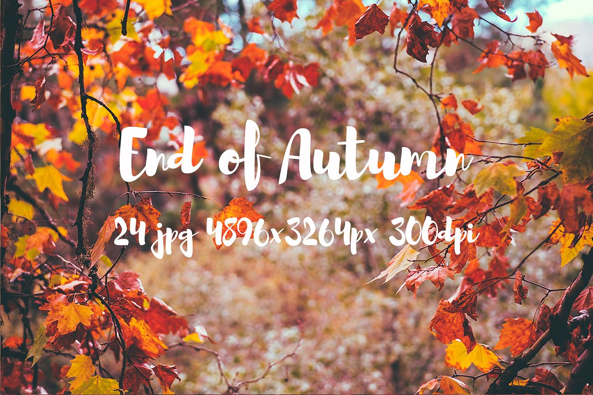 Autumn photo pack