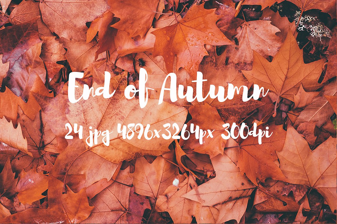 Autumn photo pack