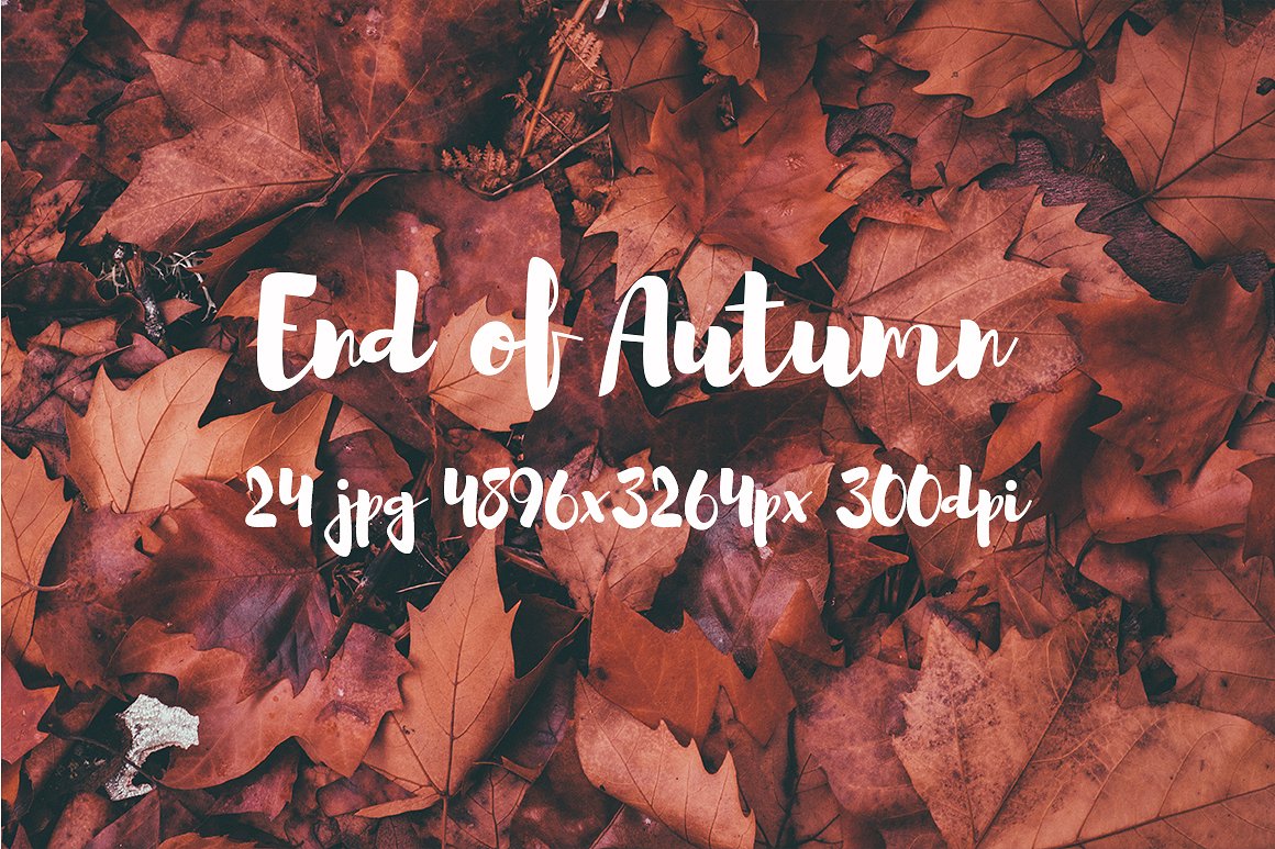 Autumn photo pack