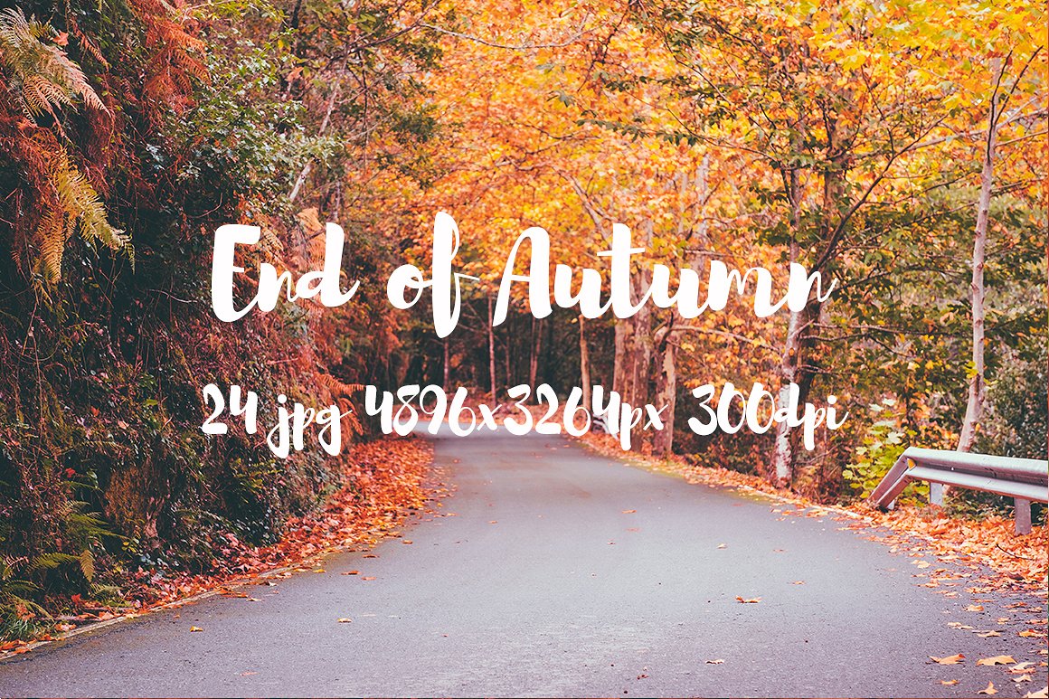 Autumn photo pack