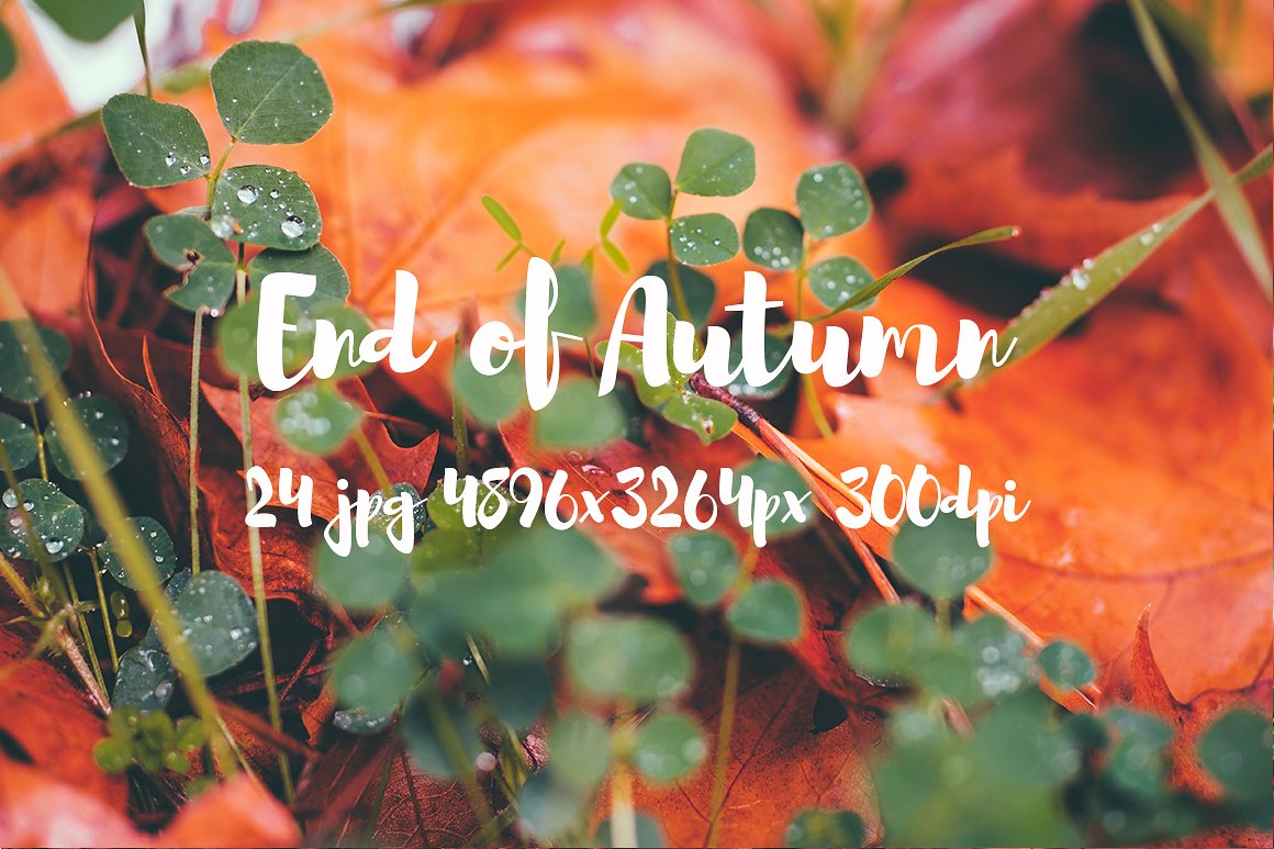 Autumn photo pack