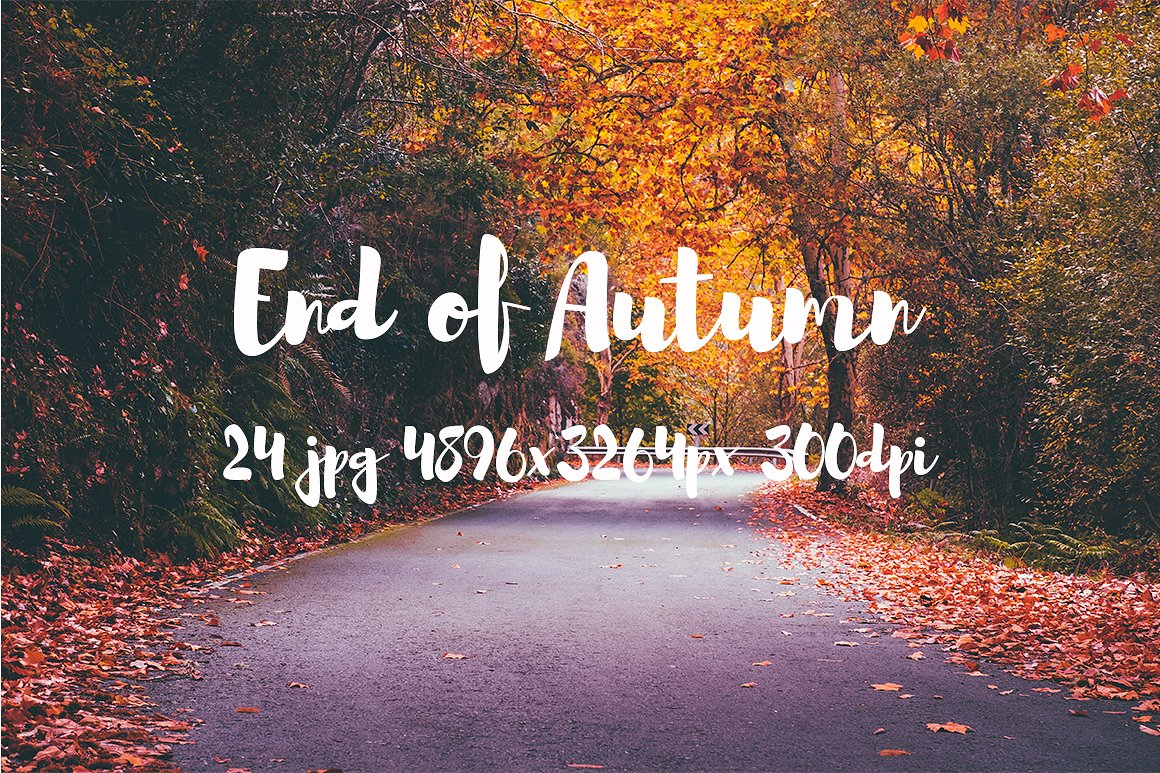 Autumn photo pack