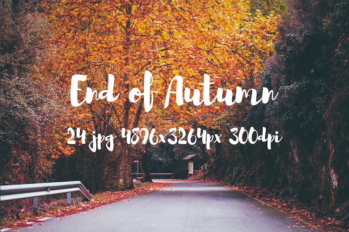 Autumn photo pack