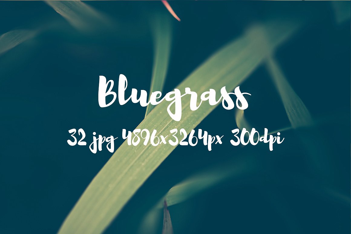 Bluegrass photo pack