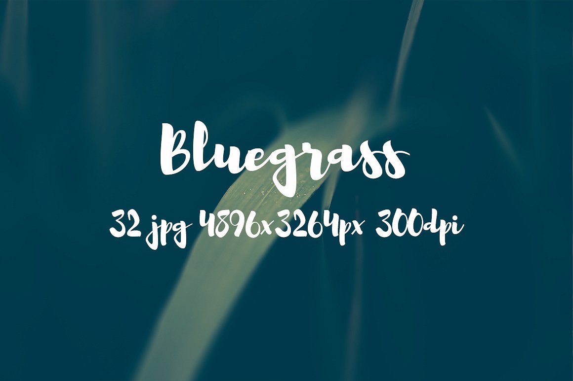 Bluegrass photo pack