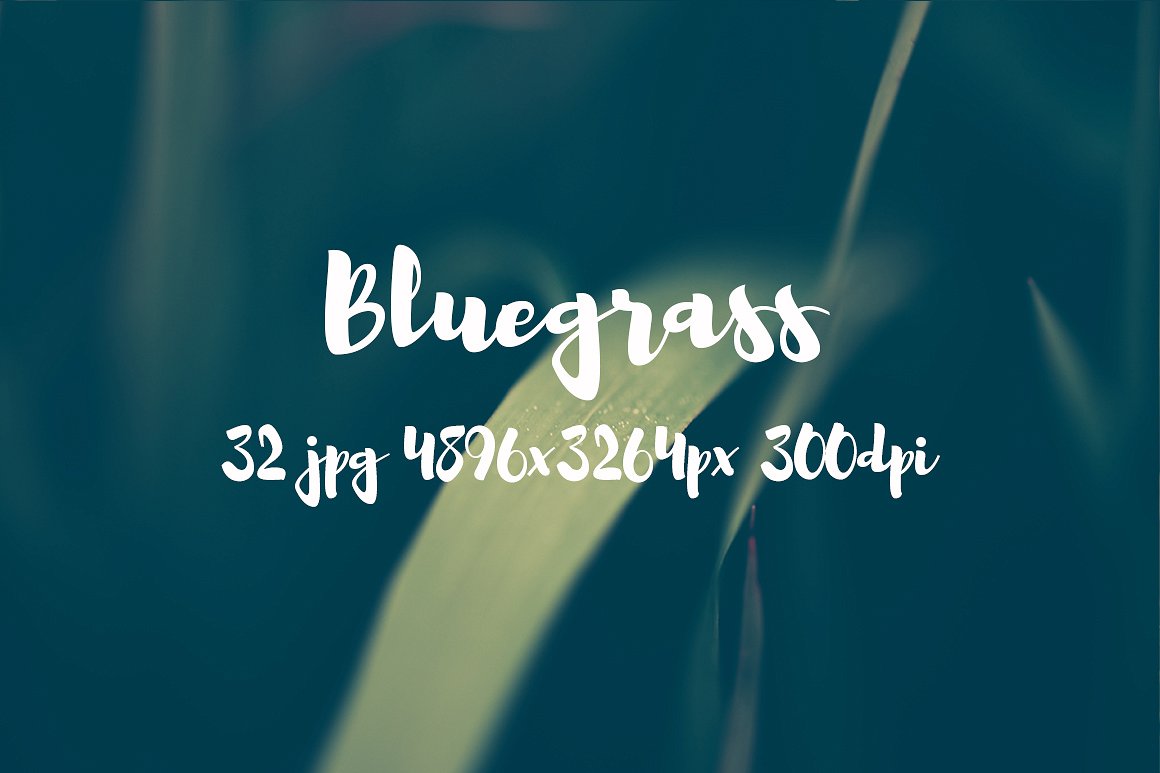 Bluegrass photo pack