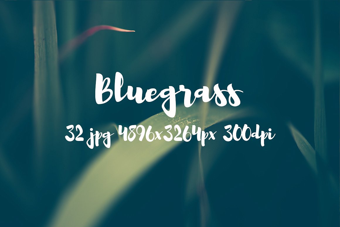 Bluegrass photo pack