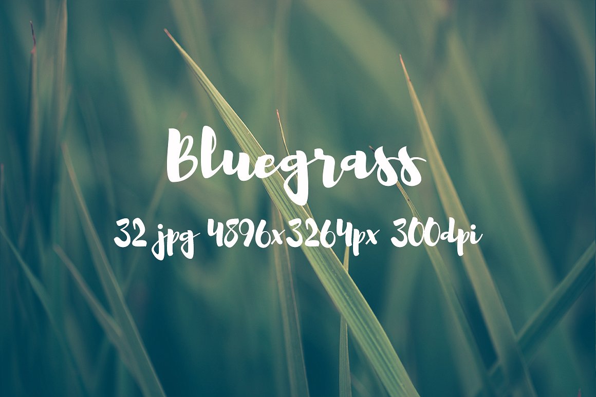 Bluegrass photo pack