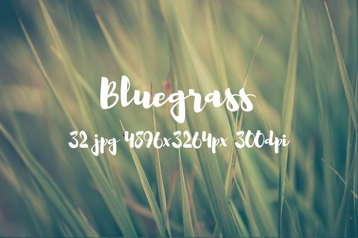 Bluegrass photo pack