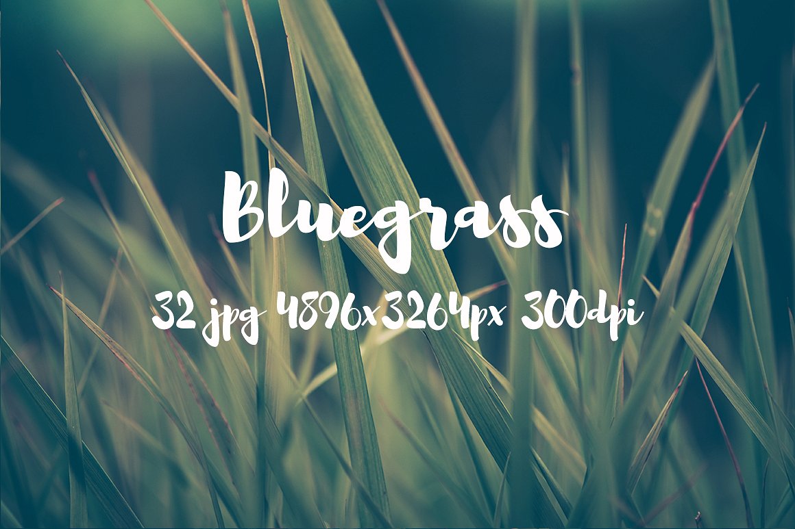 Bluegrass photo pack