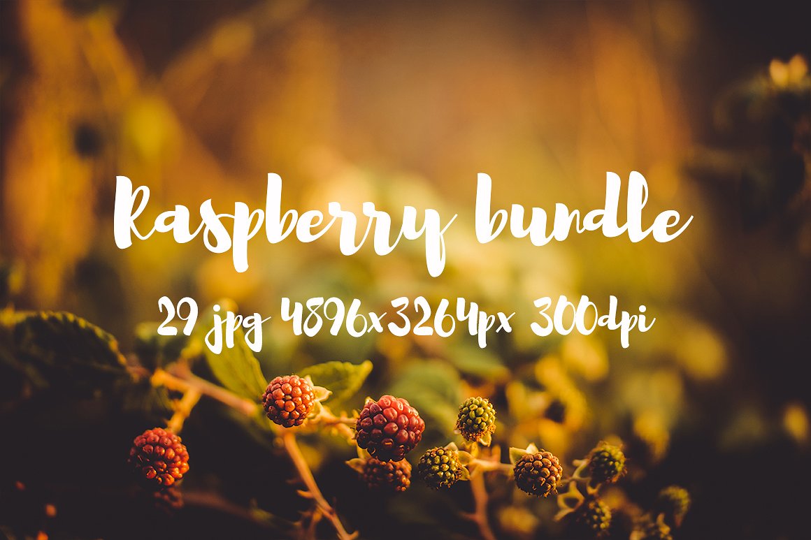 Raspberry photo pack