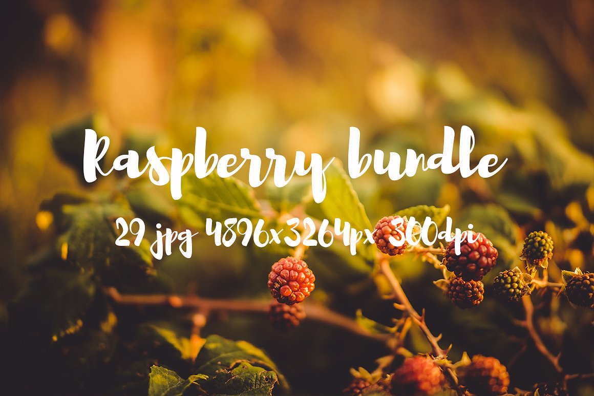 Raspberry photo pack