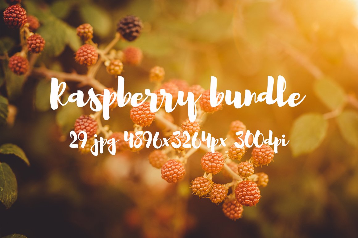 Raspberry photo pack