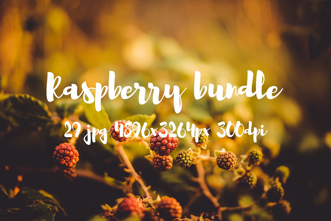 Raspberry photo pack