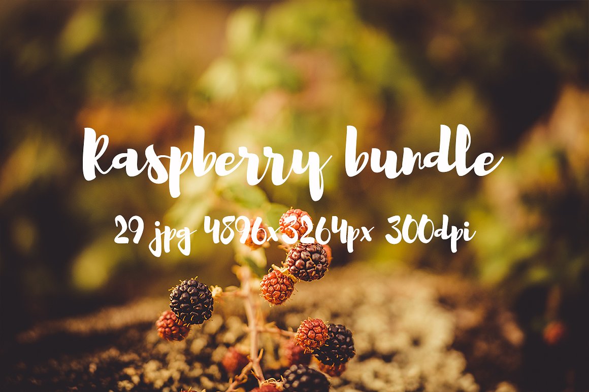 Raspberry photo pack