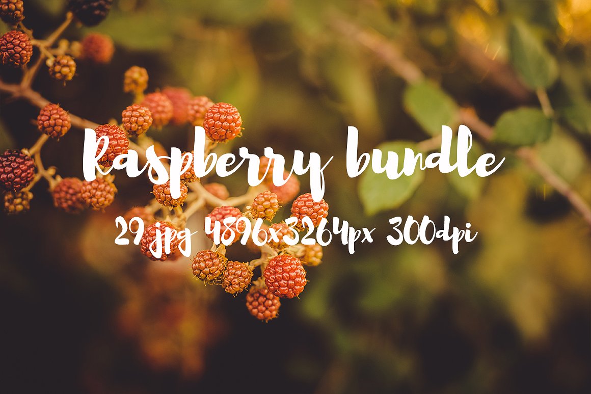 Raspberry photo pack