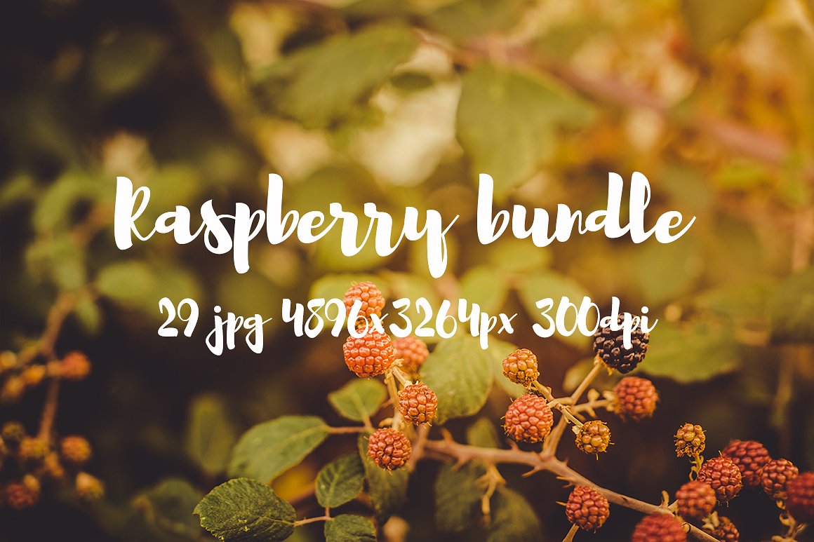 Raspberry photo pack