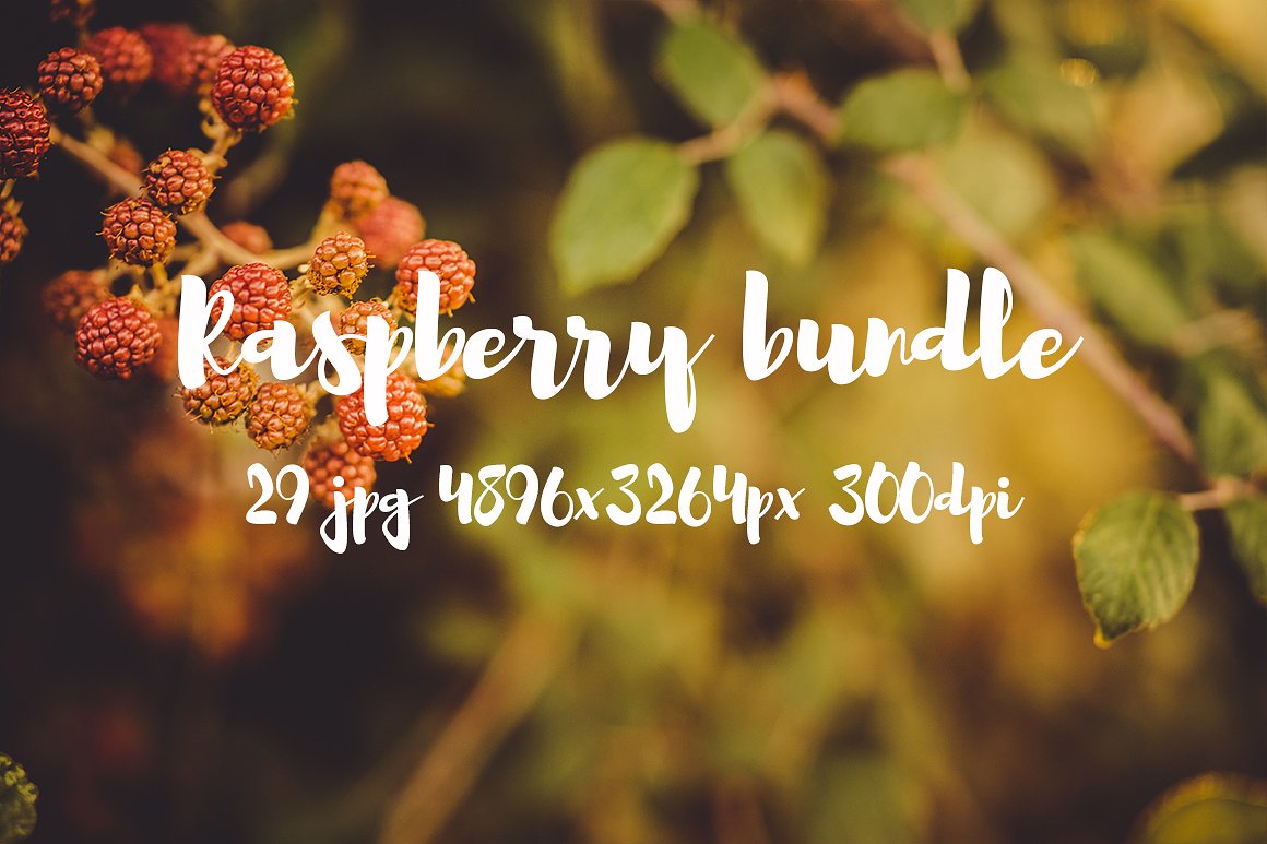 Raspberry photo pack