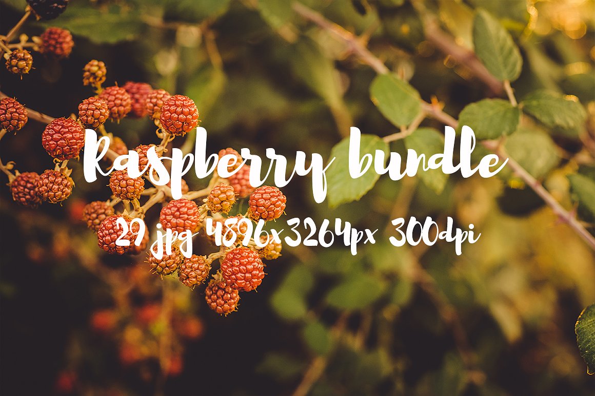 Raspberry photo pack