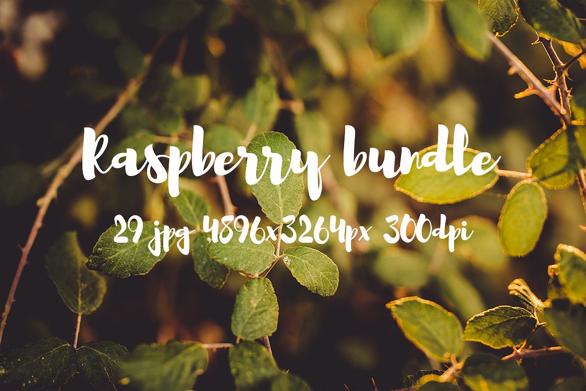 Raspberry photo pack