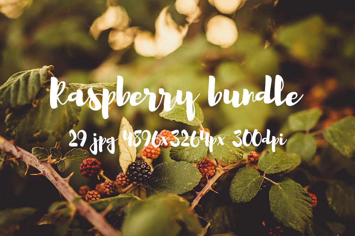 Raspberry photo pack