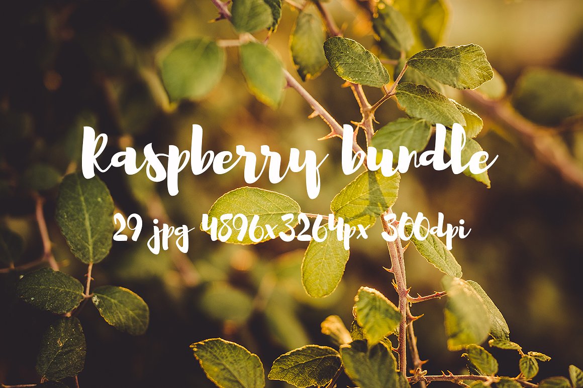 Raspberry photo pack